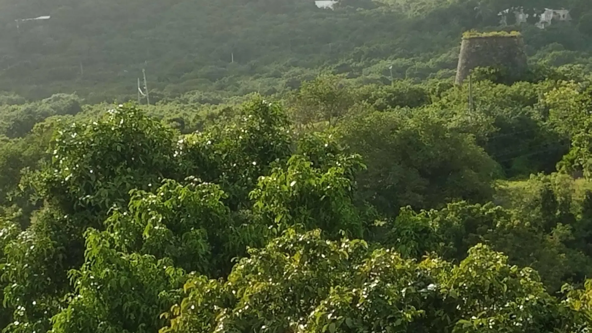 Carringtons Inn Saint Croix Island United States Virgin Islands